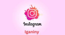 IGAniny – The Best Instagram Story Viewer & Downloader!