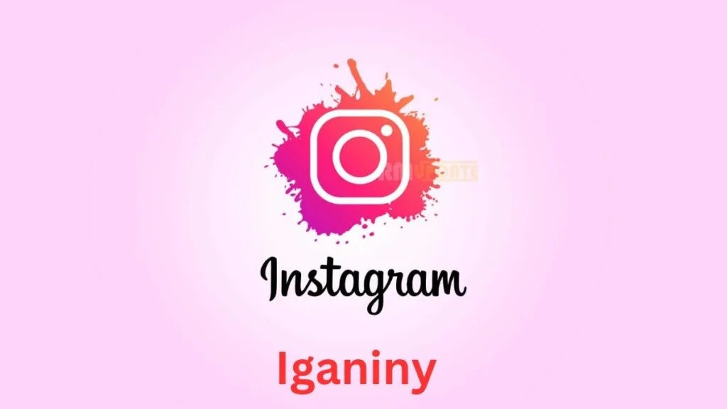 IGAniny – The Best Instagram Story Viewer & Downloader!